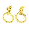 304 Stainless Steel Earrings EJEW-R161-04G-1