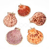 Electroplate Multicolor Sea Shell Pendants SSHEL-S262-31-1