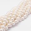 Rainbow Plated Shell Pearl Bead Strands BSHE-L025-02-6mm-1