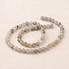 Natural Labradorite Round Beads Strands G-I168-04-6mm-2
