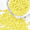 Opaque Glass Seed Beads SEED-S023-01A-02-1