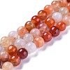 Crackle Natural Carnelian Beads Strands G-H235-2