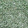 11/0 Grade A Glass Seed Beads X-SEED-S030-1217-2