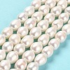 Natural Cultured Freshwater Pearl Beads Strands PEAR-E016-061-2