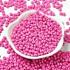 Baking Paint Glass Seed Beads SEED-B001-02A-01-2