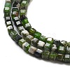 Natural Diopside Beads Strands G-G161-C23-01-4