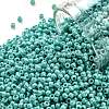 TOHO Round Seed Beads SEED-TR11-0413-1