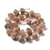 Natural Sunstone Beads Strands G-B027-A03-3