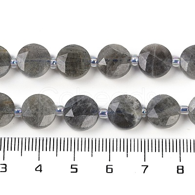 Natural Labradorite Beads Strands G-C116-A46-01-1