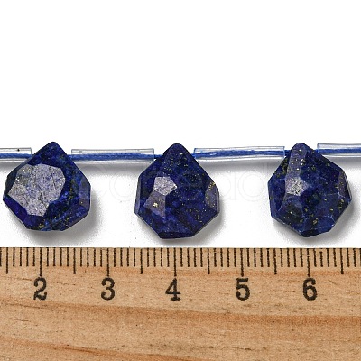 Natural Lapis Lazuli Beads Strands G-P544-C10-01-1