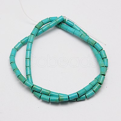 Synthetic Turquoise Beads Strands X-TURQ-G120-3x5mm-13-1