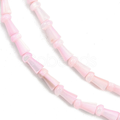 Natural Freshwater Shell Beads Strands SHEL-G013-02G-1