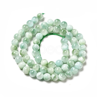 Natural Glass Beads Strands G-I247-32A-1