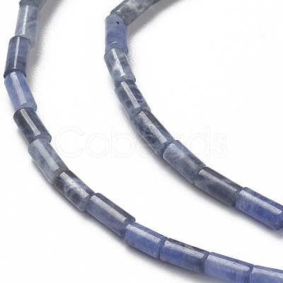 Natural Sodalite Beads Strands G-B004-A27-1