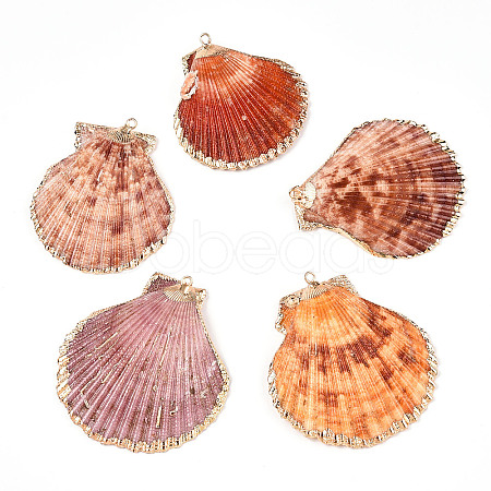 Electroplate Multicolor Sea Shell Pendants SSHEL-S262-31-1