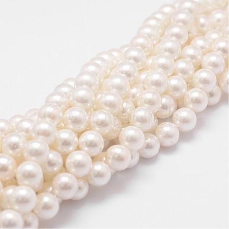 Rainbow Plated Shell Pearl Bead Strands BSHE-L025-02-6mm-1