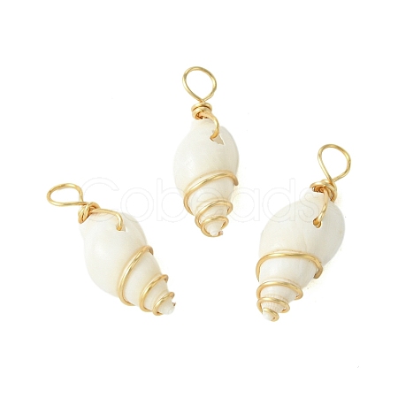 Natural Spiral Shell Pendants PALLOY-JF02792-01-1