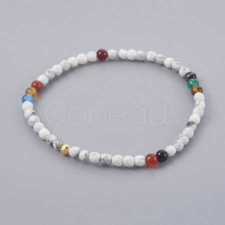 Natural Howlite and Natural Color Agate Stretch Bracelets BJEW-JB04001-04-1