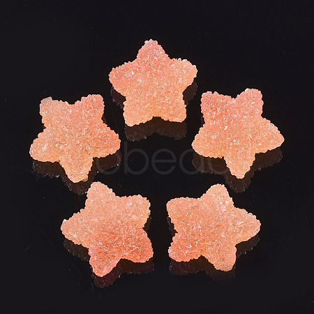 Resin Cabochons CRES-N019-04B-1