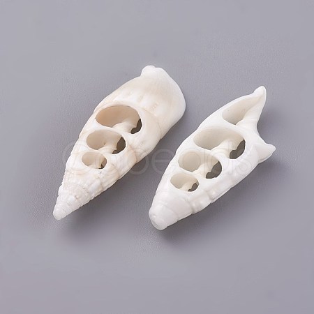 Conch Shell Beads BSHE-WH0002-01-1