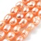 Natural Cultured Freshwater Pearl Beads Strands, Two Sides Polished, Grade 3A+, Coral, 6~7mm, Hole: 0.6mm, about 23pcs/strand, 6.69''(17cm)