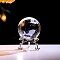 Inner Carving Glass Crystal Ball Diaplay Decoration, Fengshui Home Decor, Clear, Dolphin, 60mm