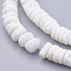 Natural White Shell Beads Strands X-BSHE-P026-30-3