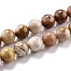 Natural Petrified Wood Beads Strands G-O199-06C-2