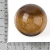 Natural Tiger Eye Sphere Beads G-I367-07R-2