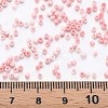13/0 Glass Seed Beads SEED-T005-14A-A05-4