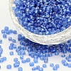 6/0 Round Silver Lined Round Hole Glass Seed Beads X-SEED-A005-4mm-26-1