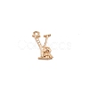 Brass Micro Pave Cubic Zirconia Charms KK-TAC0004-04Y-1