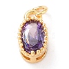 Real 18K Gold Plated Brass Inlaid Cubic Zirconia Charms ZIRC-L100-079G-06-2