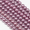 Eco-Friendly Dyed Glass Pearl Round Bead Strands X-HY-A002-10mm-RB062-1