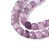 Natural Lepidolite/Purple Mica Stone Beads Strands G-N342-139-3