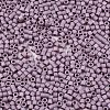 11/0 Grade A Glass Seed Beads SEED-S030-1008-2