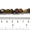 Natural Petrified Wood Beads Strands G-B078-D18-01-5