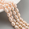 Natural Cultured Freshwater Pearl Beads Strands PEAR-P062-08F-2