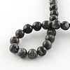 Natural Labradorite Round Bead Strands G-R342-10mm-09-3