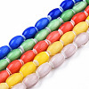 Handmade Lampwork Beads Strands LAMP-N023-004-1