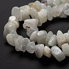 Natural Rainbow Moonstone Beads Strands G-A200-02-5
