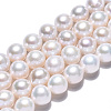 Natural Baroque Pearl Keshi Pearl Beads Strands PEAR-Q015-037-3