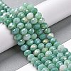 Faceted Electroplated Glass Beads Strands GLAA-C023-02-B08-2