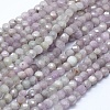 Natural Kunzite Beads Strands G-D0013-43-1
