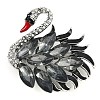 Zinc Alloy Black Diamond Rhinestone Brooch JEWB-U011-03AS-03-1