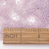 TOHO Japanese Seed Beads X-SEED-K008-1.5mm-2121-3