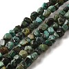 Natural African Turquoise(Jasper) Beads Strands G-D081-A05-1