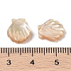 Natural Trochus Shell Carved Beads SHEL-P017-08A-3