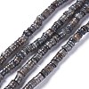 Natural Freshwater Shell Beads Strands BSHE-I016-04-2