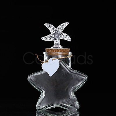 Glass Wishing Bottles Ornament BOTT-PW0011-53B-1